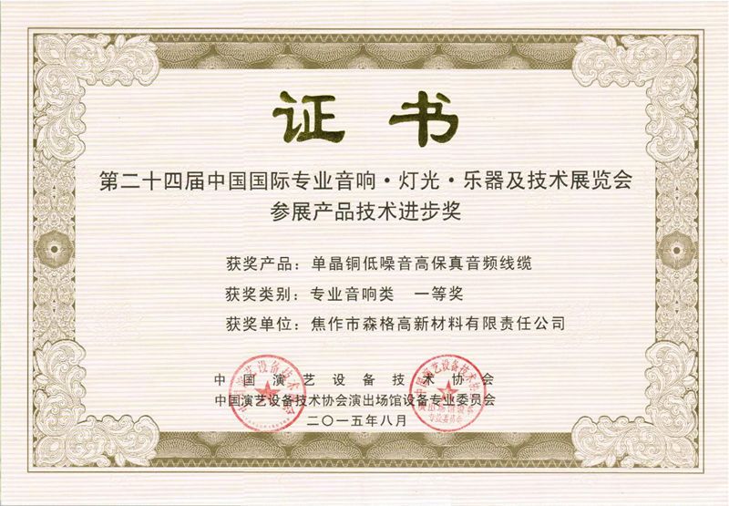 第24届中国国际音响展产品一等奖证书